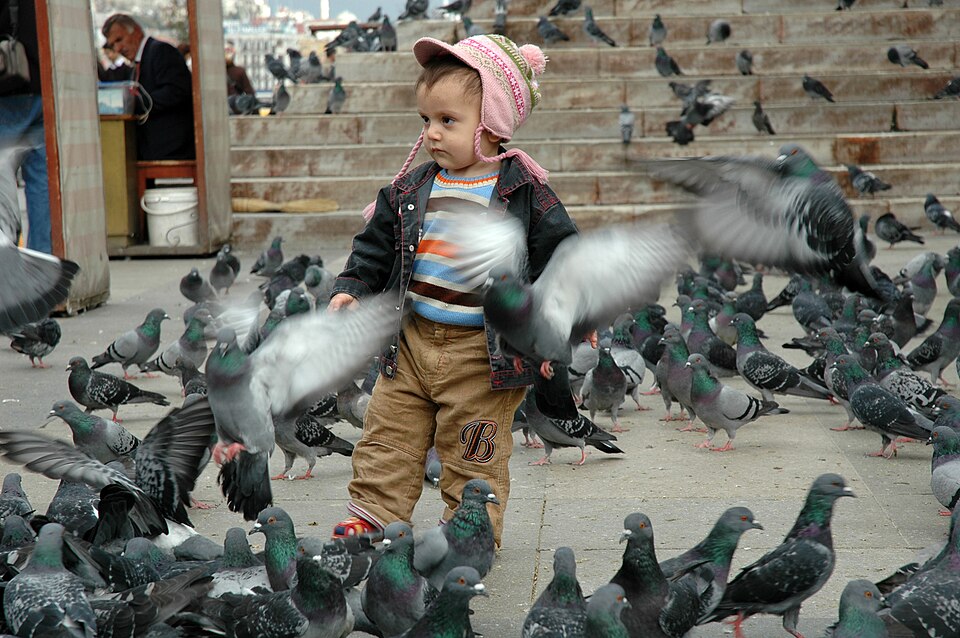 Eminönü