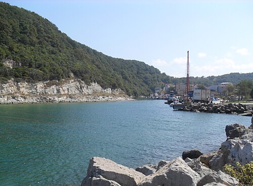 Ağva